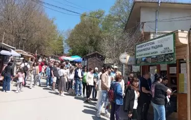 Една от опашките.