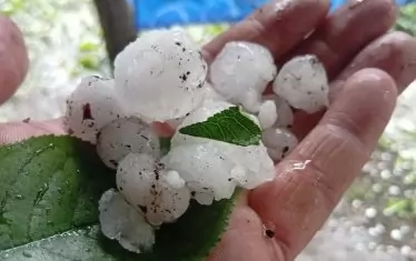 Буря и градушки връхлетяха севлиевски села