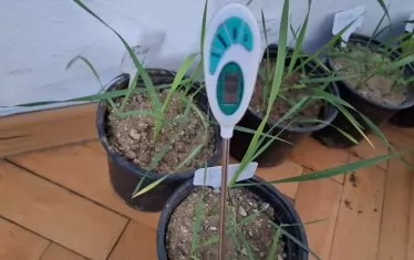 Влага, температура и др. величини са много важни за изследванията.