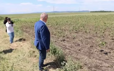 Над 60 хил. дка в Новозагорско са поразени от градушката