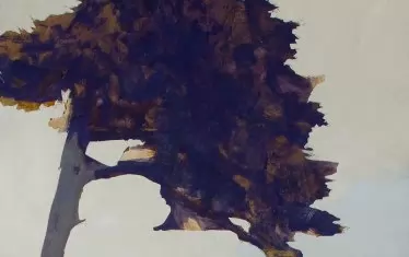  "Турски бор"