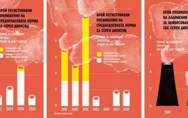 За ТЕЦ "Бобов дол" държавата е бостанско плашило 