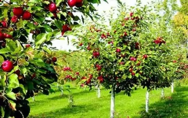 Фермерите заспориха за закона за търговските надценки