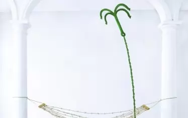  "Комфорт", 2023, бодлива тел, метал.