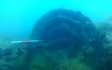  Част от брашпила на потъналия кораб.