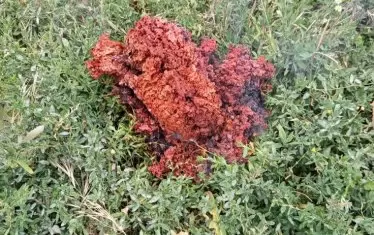 Неизвестен обект падна от небето в Якоруда