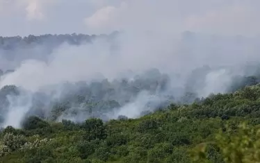 Пожарът в Опицвет се разгоря пак 