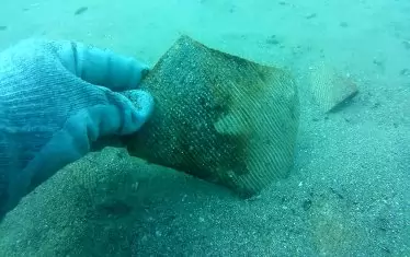  Откриване на фрагменти от византийски амфори. 