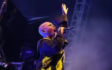 Скин - емблематичната фронтдама на Skunk Anansie, успя да вдигне подобаващо настроението на публиката преди основния сет за вечерта на Gojira.