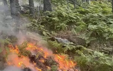 Пожарът в Рила се разраства
