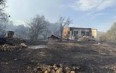 Двама са арестувани за пожара до Стара Загора