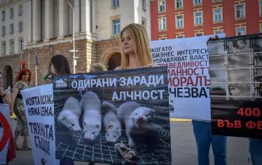 ВАС потвърди забраната за отглеждане на норки в България