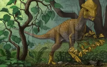  Художникът палеонтолог ще представи 12 авторски картини в НПМ.