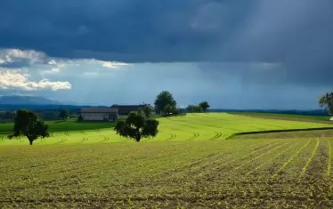 Седмичен хороскоп