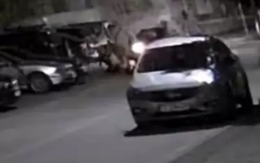 Макар кадрите да са неясни, не се забелязва тежко ранен възрастен човек.