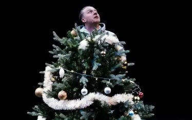  Сцена от "Най-високото дърво на Земята"