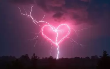 Диоген с фенер от тиква