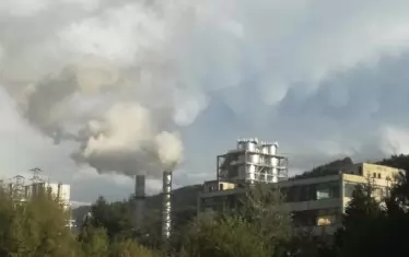 Екоинспекцията спря линия на завода за дървесина "Кроношпан"