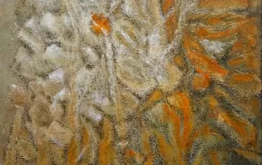  Олга Вълнарова, "Екология"