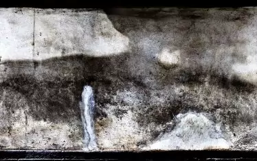  Виктор Попов, The ferret king