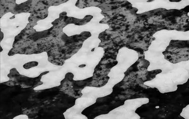  Из "Букурещка трилогия"