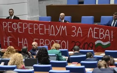 РефереРендум ли е, че да го опишеш?