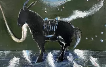  Греди Асса, "Магаре" 