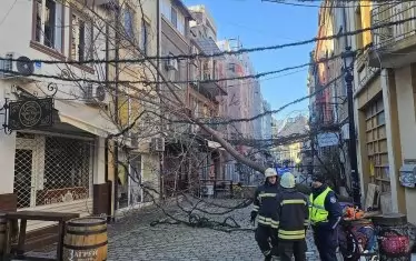 Бурният вятър нанесе щети в редица градове