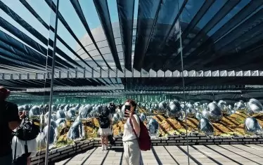   Япония през телефона - от личната страница на авторката във Фейсбук