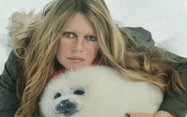  ББ в Нюфаундленд през 1977 г. за фотосесия, осъждаща лова на тюлени. 