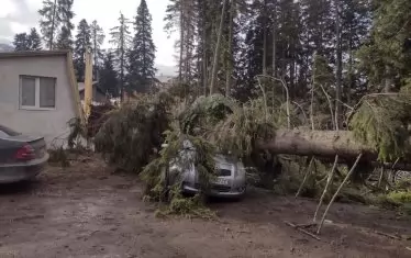 Задействана е BG-ALERT заради ураганен вятър на Боровец
