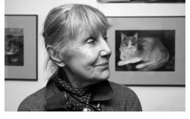  Галеристката на фона на котките на известната турска художничка Айнур Пехливанлъ.