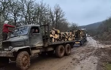 Историческата Петрова нива е превърната в сечище