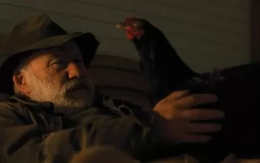  Кадър от новия филм на Дьорд Палфи "Кокошка".