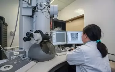 Кой дава направление за ЯМР?