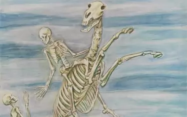  Нилс Дардел, "Скелет върху кон", акварел и мастило върху хартия, ок. 1940-48.