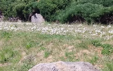  "Стрелайте, ние още имаме час". Шумарице. 