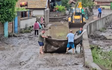 Военни разчистват тиня от десетки наводнени къщи в Тича
