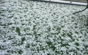 Градушката в София покри на места изцяло тревните площи.