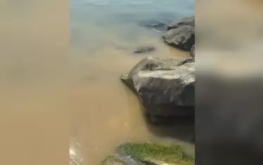 Фекални води заляха плаж "Свети Влас - централен"