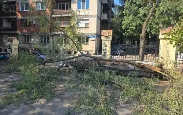 Оградата е частично разрушена при паднало дърво в началото на юни.