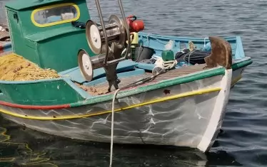 И агенцията по рибарство отива под ножа