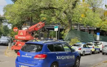 Жандармерия спря премахването на "Кошарите"