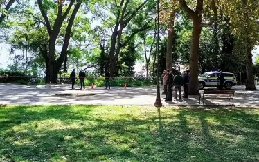 Паднал клон във Варна рани тежко общински служител
