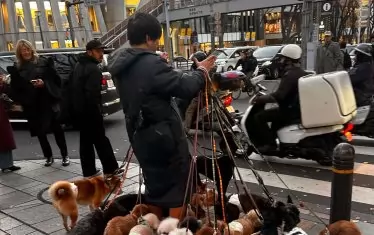  На разходка може и така...