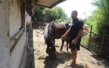  Стефан не си дава животните.