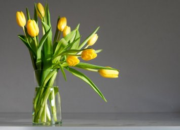 Хороскоп за четвъртък