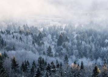 Хороскоп за вторник