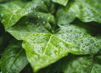 Хороскоп за понеделник 