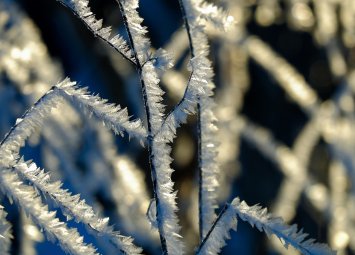 Хороскоп за вторник 